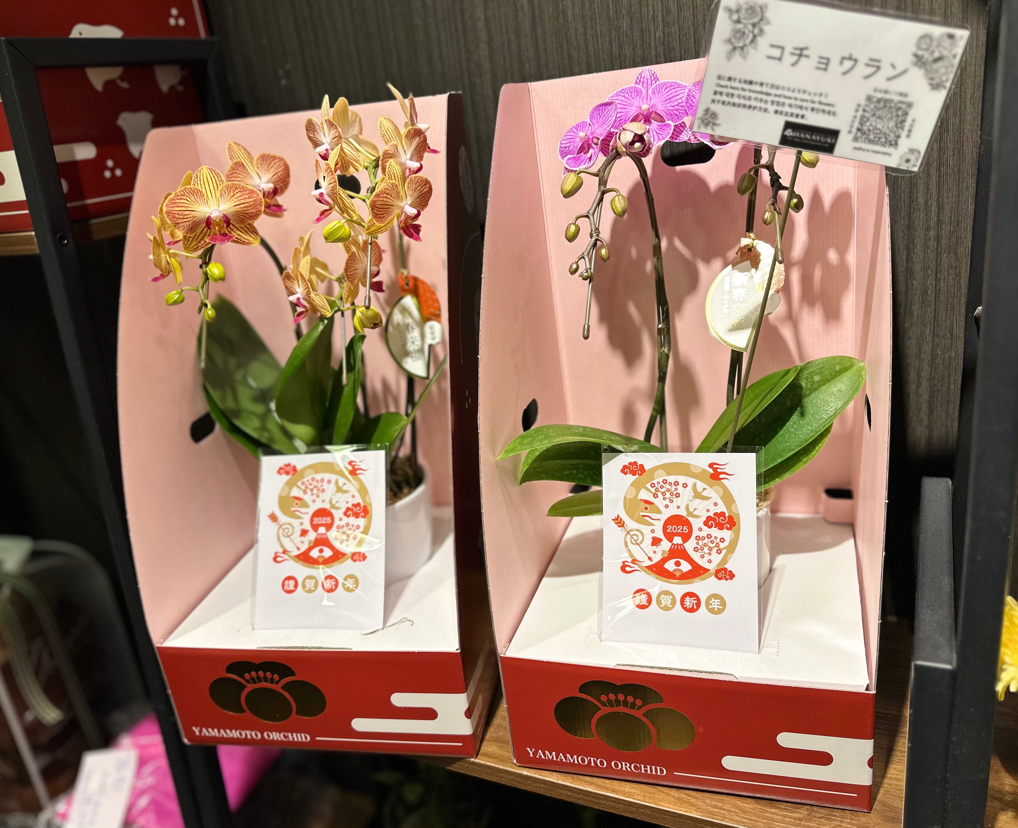 歳末フェア開催ちぅ〜💨💨 | 花ユキ | ショップブログ | 大丸 歳末フェア開催ちぅ〜💨💨 | 花ユキ | ショップブログ | 大丸