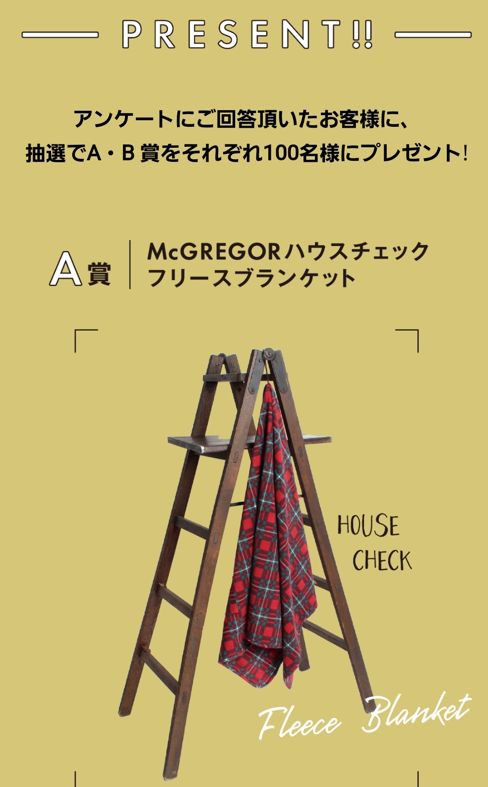000304/2dc6eeb2.jpg
