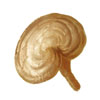 000469/fc23d529.jpg