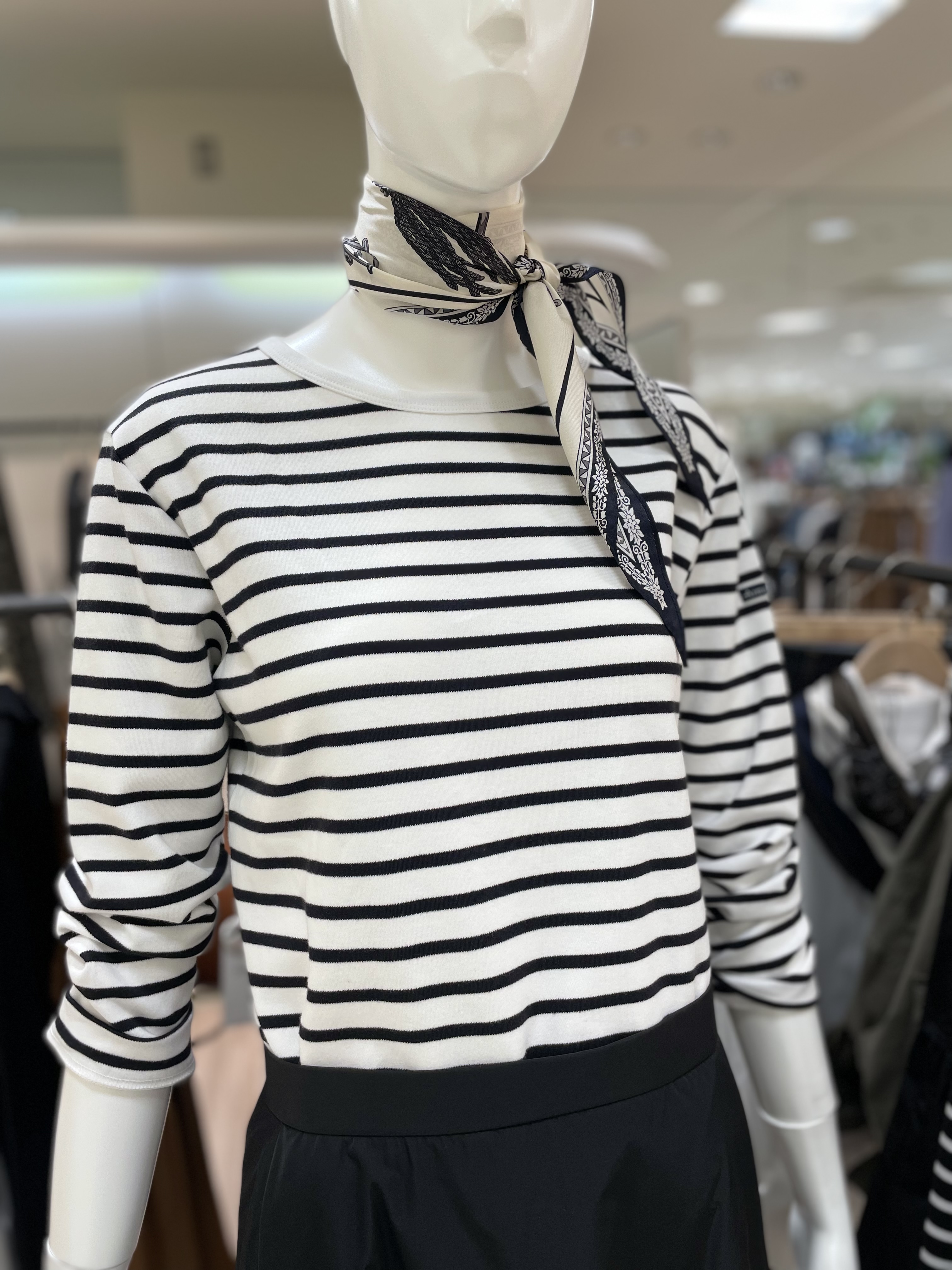 アルモリュクスボーダー入荷しました⭐︎ | 23区 セレクト