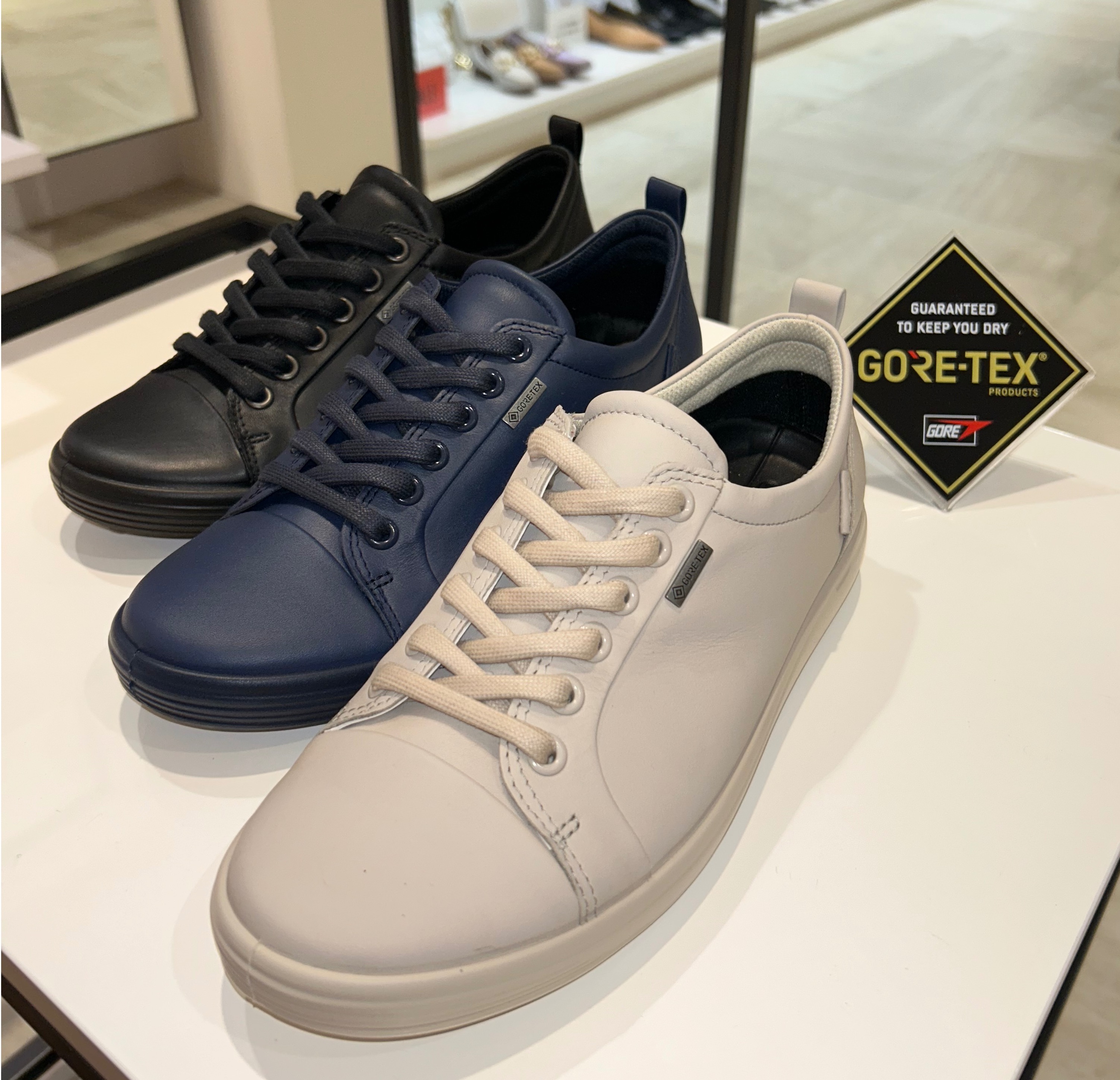 エコーのベストセラースニーカー👟 | エコー | ショップブログ